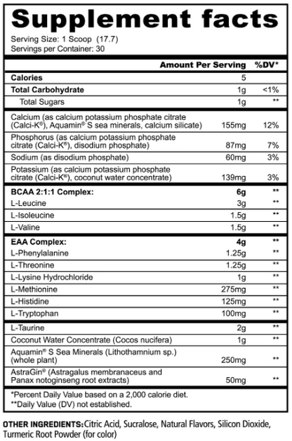 PANDA SUPPLEMENTS PREMIUM AMINOS PEACH MANGO